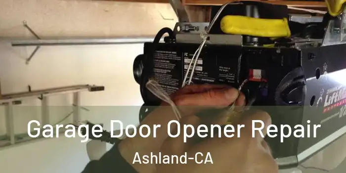  Garage Door Opener Repair Ashland-CA
