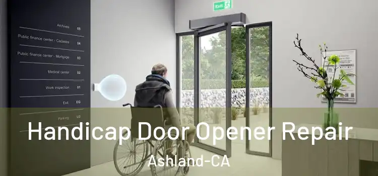  Handicap Door Opener Repair Ashland-CA